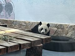 -无锡动物园·太湖欢乐园