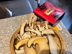 -大龙燚火锅(太古里店)