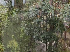 -秦始皇帝陵博物院-丽山园