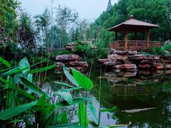 -习家池
