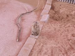 -杭州野生动物世界