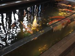 -永青泉汗蒸广场(大运河博物馆店)