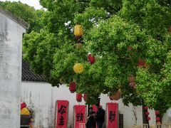 -同里国家湿地公园