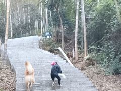 -梅岭月亮湾山体公园