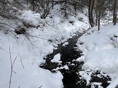 -峡谷浮石林景区