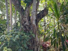 -北京植物园-展览温室