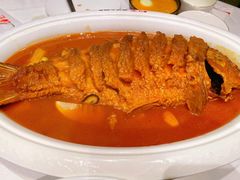 红烧黄河鲤鱼-阿五黄河大鲤鱼(海尚店)
