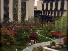 -上海崇明金茂凯悦酒店