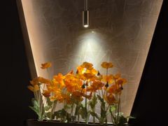 -鸿韵养生(白玉兰店)