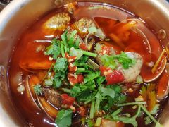 花甲火锅粉-成都吃客(九眼桥店)