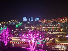 -枇杷园食为鲜火锅(南山店)