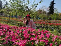 -天适樱花悠乐园