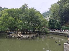 -黔灵山公园