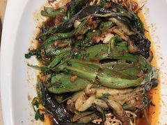 -鸽子窝(黄村店)