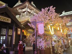 -嘉峪关方特丝路神画