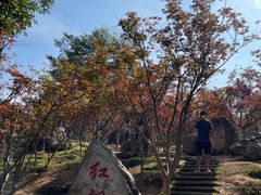 -广州市帽峰山景区