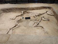 -洛阳周王城天子驾六博物馆