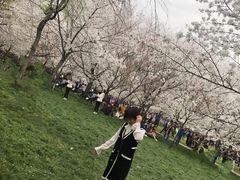 -武汉武昌威斯汀酒店-知味自助餐厅