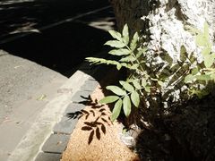 -颐和路民国时期公馆风貌区