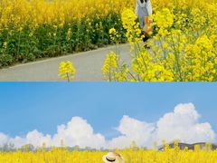 -中国天府农业博览园