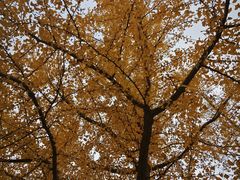 -辽宁大学(崇山校区)