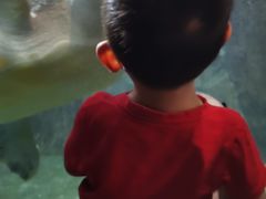 -福州罗源湾海洋世界旅游区