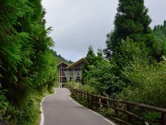 -武陵山森林公园