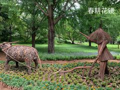 -香山公园