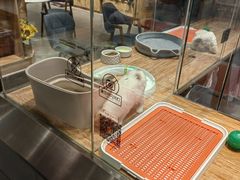 -狗道宠物(常熟印象城店)