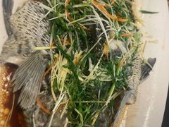 石斑鱼（斤）-潮人姐妹轩(海宁路店)