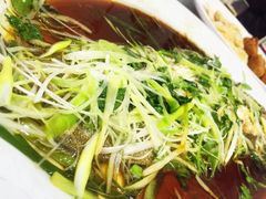 清蒸鲑鱼-凤城礼记鱼翅海鲜酒家(新马路总店)