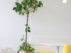 -五进制 Coffee Shop