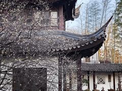 -木子山庄·安徽省老字号·中国炖锅宴