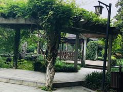 -东航云逸酒店(九溪烟树店)