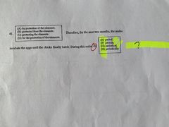 -英孚教育青少儿英语(长宁来福士中心)