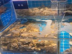 -渔纬港海鲜自助餐厅(湖里万达店)