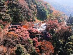 -广州市石门国家森林公园