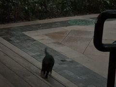 -贝利宠物医院·骨科·眼科·肿瘤转诊中心(南坪诊疗中心)