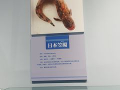 -大连自然博物馆