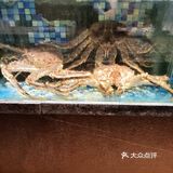 吃货日记：今天尝鲜生蚝