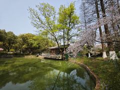 -南京古林公园