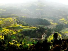 -灵山景区梯田