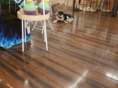 -豆柴町-柴犬主题狗咖(红鼎国际C座店)