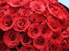 -花到家(富贵鸟花艺行)