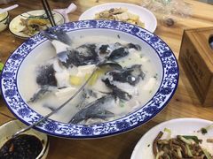 -全乐鱼馆·淳牌有机鱼直营店