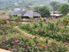 -玫瑰庄园·自助烧烤·烤全羊·团建拓展(龙泉山店)