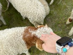 -呼和诺尔旅游景区