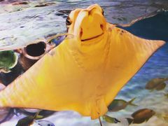 -沈阳海洋探索中心