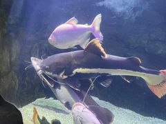 -泉城欧乐堡海洋极地世界