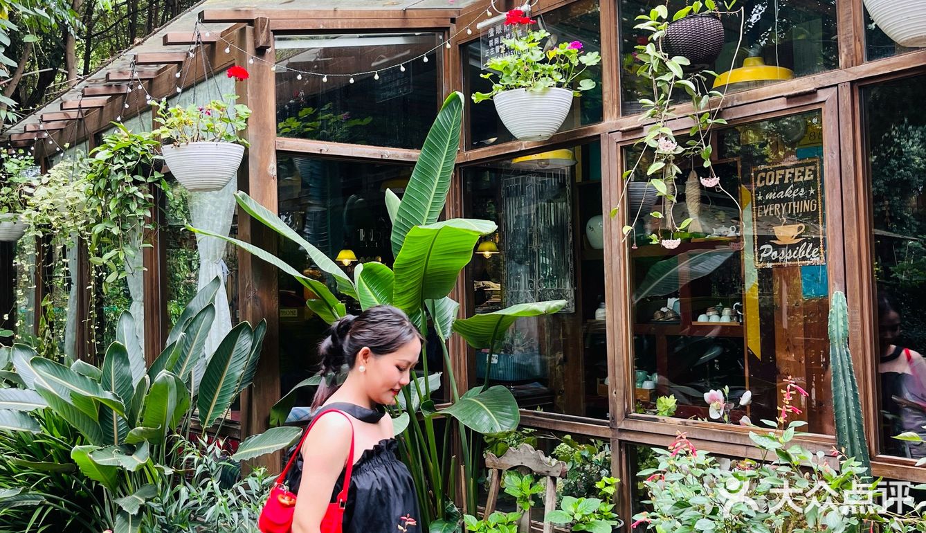 成都下午茶｜森林木屋的悠闲